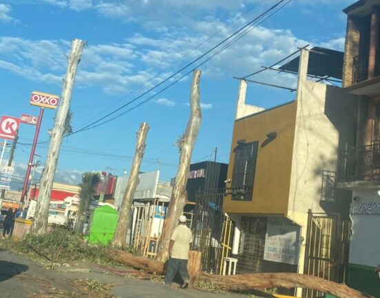 Ciudadanía indignada por ecocidio en Pozos y falta de apoyo de Enrique Galindo