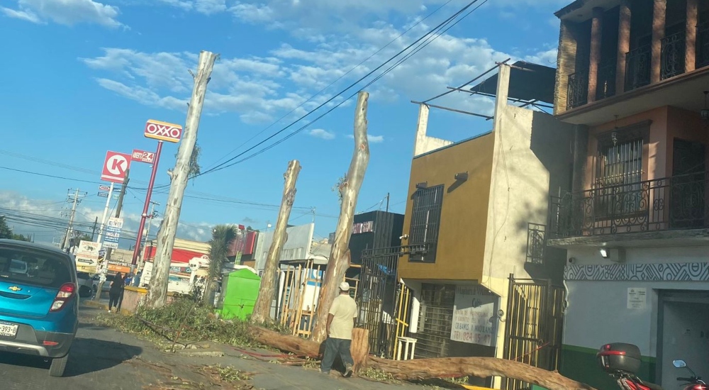 Ciudadanía indignada por ecocidio en Pozos y falta de apoyo de Enrique Galindo