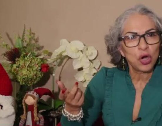 Hermana de Rosa Icela implicada en posibles tratos con grupos delictivos